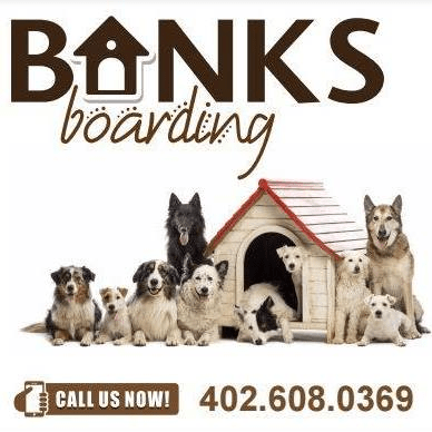 business logo