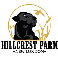 business logo