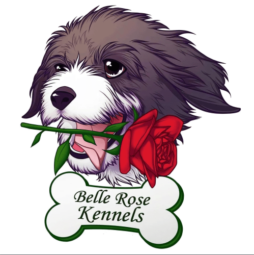 business logo