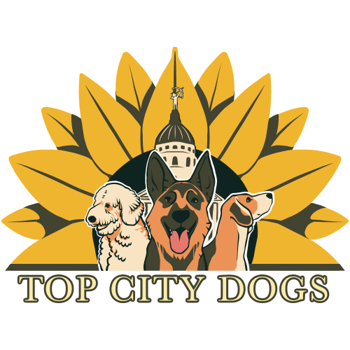 business logo